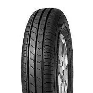 Fortuna 205-60-R16-92H ECOPLUS HP