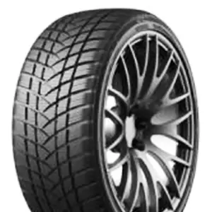 GT-Radial 215-65-R17-99V WINTERPRO2 SPORT SUV