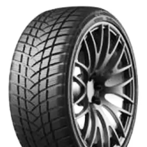 GT-Radial 205-50-R17-93V WINTERPRO2 SPORT